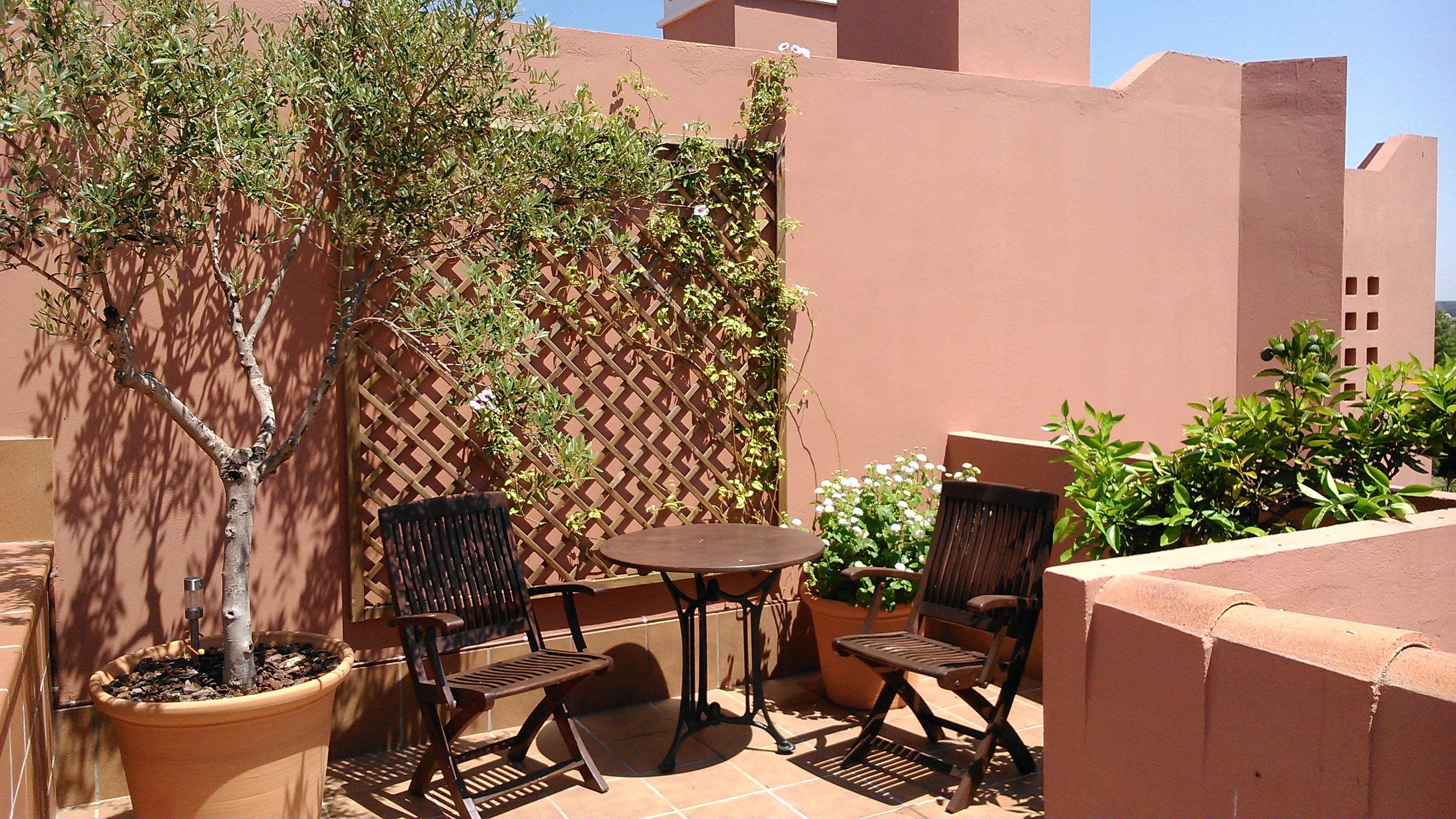 Trellis and planting from 2013